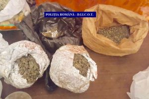 Tânăr din Turceni, reţinut pentru trafic de droguri de risc