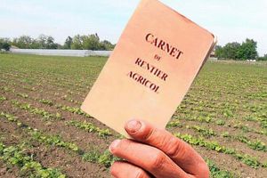 APIA cheamă rentierii agricoli la viză