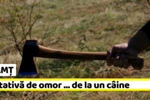 NEAMȚ: I-a dat cu toporul în cap. Totul a pornit de la un câine