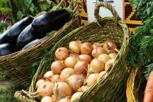 Ministerul Agriculturii: Producătorii grupaţi în cooperative agricole ar putea fi scutiţi de impozit. Care este condiţia?