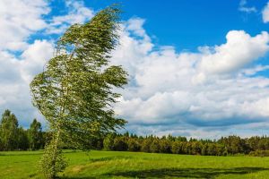 Ialomiţa: Avertizare Meteo – Cod galben de vânt