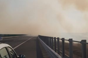 Trafic ingreunat pe Autostrada Soarelui, in apropiere de Medgidia din cauza unui incendiu. Vizibilitatea este redusa in zona