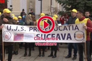 Circa 50 de profesori au ieşit în stradă: „Nu am ieşit să cerem măriri de salarii, am ...