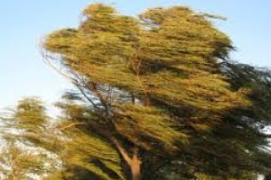 Anunţul de ultimă oră al meteorologilor