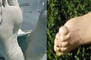 Durerea unei familii de romani /  Incurcarea macabra a unui fat mort cu un picior amputat