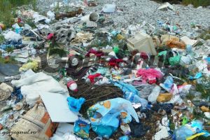 Acţiune de curăţenie în Defileul Jiului