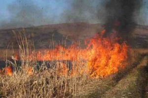 ULTIMĂ ORĂ: Trei case au luat foc în urma unui incendiu de vegetaţie uscată