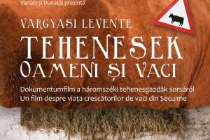 Oameni şi vaci – prezentare film