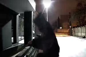 Sătmărean, victima unui hoţ de 19 ani. I-a intrat în curte şi a furat tot ce a putut