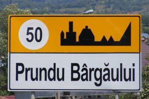 Tânăr din Prundu Bârgăului, acuzat că a profanat morminte