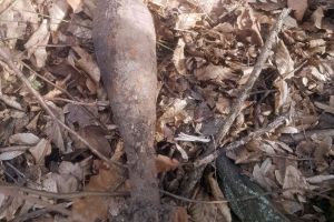 Pericol de explozie: Bombă de artilerie, găsită pe un teren din Prisaca