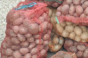 Doi hoţi au furat alimentele din frigiderul unui consătean şi doi saci de cartofi