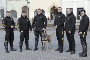 Baia Mare-Maramures: Sica Guard va protejeaza viata si bunurile. Mai multe informatii in articol