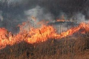 Dezastru în România! Peste 50 de incendii şi mii de hectare făcute scrum. Cine este responsabil
