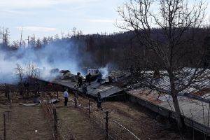 Peste 2.500 de pui au murit în urma unui incendiu izbucnit la o fermă din Vâlcea
