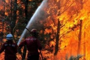 Pădure în flăcări. Alertă portocalie. Riscurile sunt majore