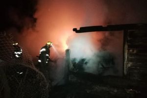 Foc pus intenţionat la un adăpost de animale din Runcu