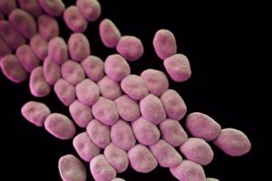 13 pacienţi infectaţi cu acinetobacter au decedat la Institutul Marius Nasta
