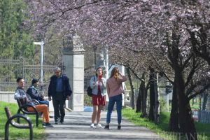 Căldură de martie: Temperaturi de 18-19 grade în Crişana, în zilele următoare