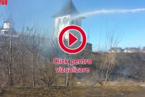 Hectare întregi au fost cuprinse de flăcări în judeţ, în opt incendii de vegetaţie uscată