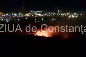 Sute de hectare de vegetatie uscata, mistuite de flacari in judetul Constanta. De la ce au pornit incendiile