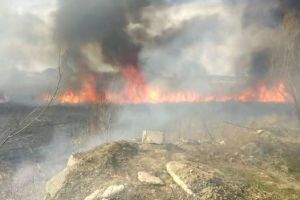 Incendiu de amploare in zona Baltag din municipiul Tulcea. Flacarile ameninta sa se extinda la locuintele din apropiere (galerie foto+video)