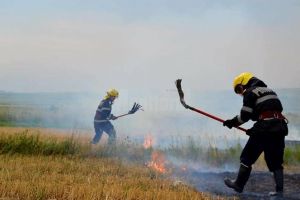 Amenzi pentru cei care au provocat incendii de vegetaţie uscată