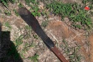 Surprinde un necunoscut în casă violându-i soţia gravidă şi-l omoară cu lovituri de macetă. Poliţia i-a arestat pe soţi