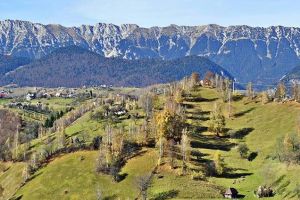 Oficii de dezvoltare montană la Săcele şi Lisa