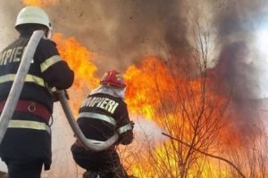 Alertă la Tulcea. Incendii uriaşe. Case în pericol 