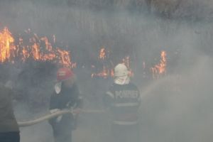 Pompierii actioneaza in judetul Tulcea. De ce intervin (galerie foto) 