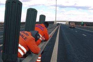 Sute de panouri antiorbire, remontate pe A1 după ce au fost recuperate de angajaţii de la Drumuri