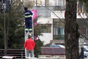 VIDEO Păpădia, „reabilitată” cu barosul de „meşterii” de la Gospodărire Urbană