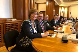Ion Ștefan: Extinderea reţelelor de gaze va putea fi finanţată prin PNDL