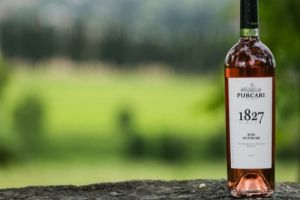 Degustare vin crama Purcari la Petry Bistro