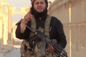 Guvernul de la Viena nu doreşte înapoi în ţară cetăţenii austrieci care au luptat alături de ISIS 

