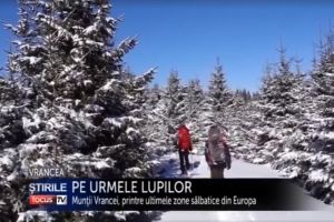 VIDEO: Vrancea, promovată de oameni din afara judeţului. Munţii Vrancei, printre ultimele zone sălbatice din Europa
