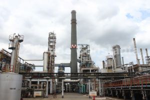 Directii de dezvoltare ale Fondului de Investitii in Energie Kazah-Roman: Centrala de cogenerare pe platforma Petromidia si retea de benzinarii sub brandul Rompetrol