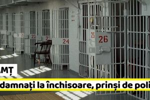 NEAMȚ: Condamnaţi la închisoare. Unul pentru că a spart ecranul unui aparat de joc, altul pentru că a condus fără permis