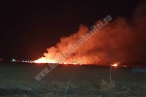 Emoţii pentru Arctic Umi! Incendiu de vegetaţie, vizavi de fabrică