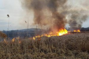 Un sfert din suprafaţa judeţului e arie naturală protejată. Ce riscă cei care dau foc vegetaţiei uscate