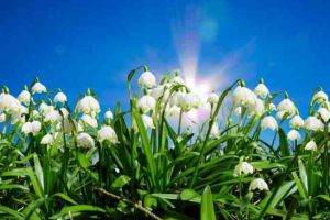 Prognoza meteo pentru 8 MARTIE: Cum va fi vremea de Ziua Femeii 2019