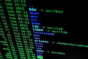 Cel mai mare atac cibernetic. Cine s-a aflat în spatele lui? Guvernul finanţa totul