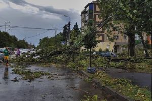 Inca nu aveti curent dupa furtuna? Scrieti-i primarului Robu, promite ca rezolva el!