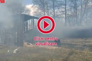 Un incendiu a cuprins o hală de prelucrare a lemnului din comuna Frătăuţii Noi