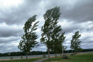 ULTIMĂ ORĂ: Cod galben de vânt puternic până după-amiază, în Vrancea