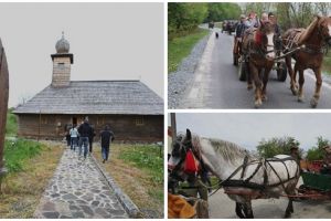 Aventură în Timiş: se reiau plimbările cu căruţa trasă de cai în zona Margina şi împrejurimi