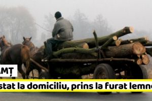NEAMȚ: Prins în flagrant la furat lemne, cu căruţa, deşi era arestat la domiciliu