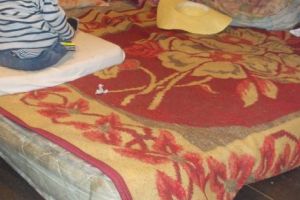 La Ștefăneşti, strigătul DISPERAT al unor frăţiori: „N-avem pe ce dormi, aveţi un pat în plus?”