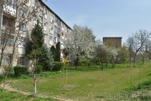 Instituţia Prefectului: Asociaţiile de proprietari nu pot fi obligate să preia spaţiile verzi!